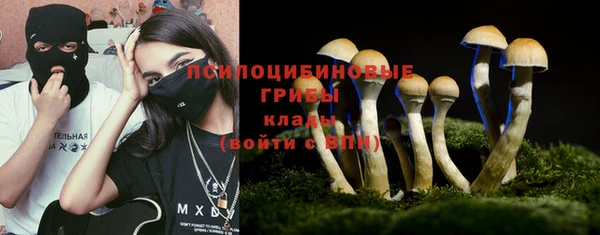 прущая мука Богданович