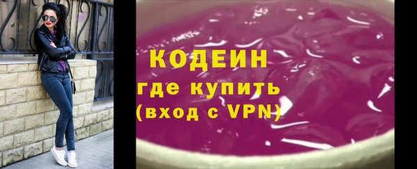 спиды Богородицк