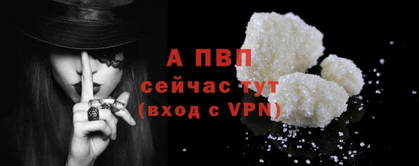 PSILOCYBIN Белокуриха