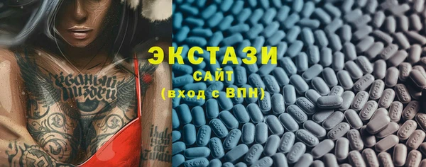 спиды Богородицк