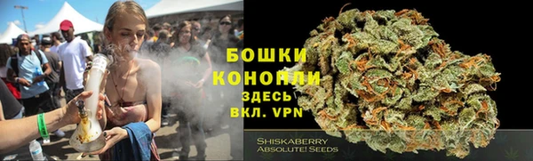 бошки Саяногорск