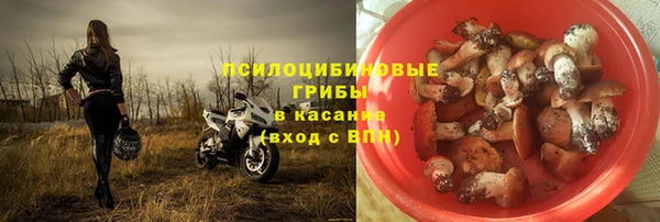 хмурый Богородск
